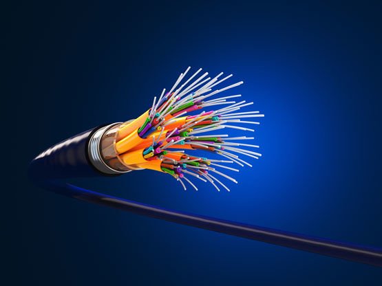 Singlemode special optical fibers